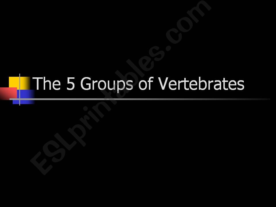 VERTEBRATES ANIMALS powerpoint