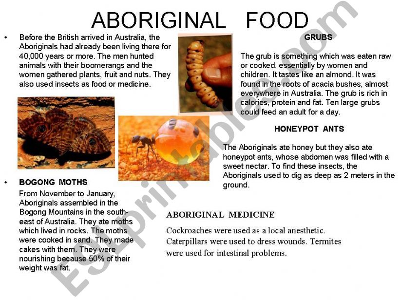 Aboriginal food powerpoint