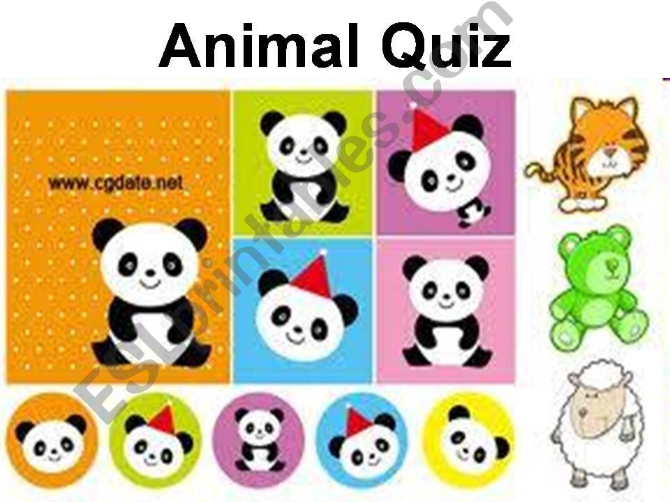 QUESTION WORD QUIZ (1/2) powerpoint