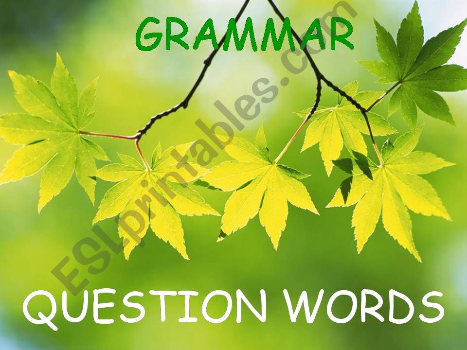 QUESTION WORD QUIZ (2/2) powerpoint