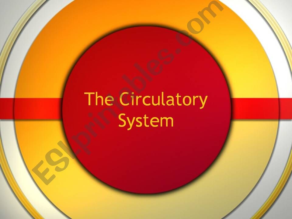 The Circulatory System powerpoint