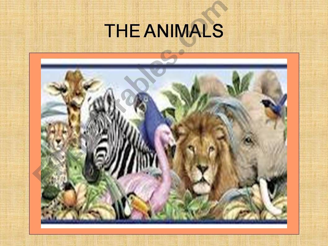 The animals powerpoint