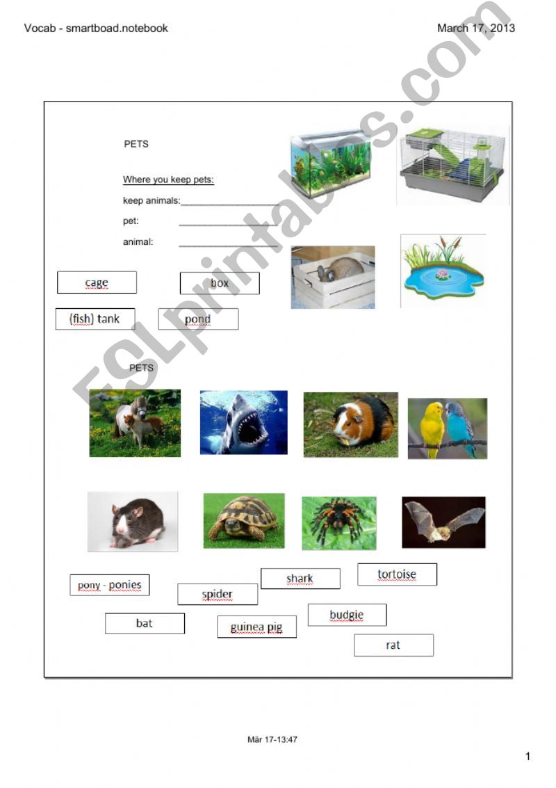 Animals and pets powerpoint