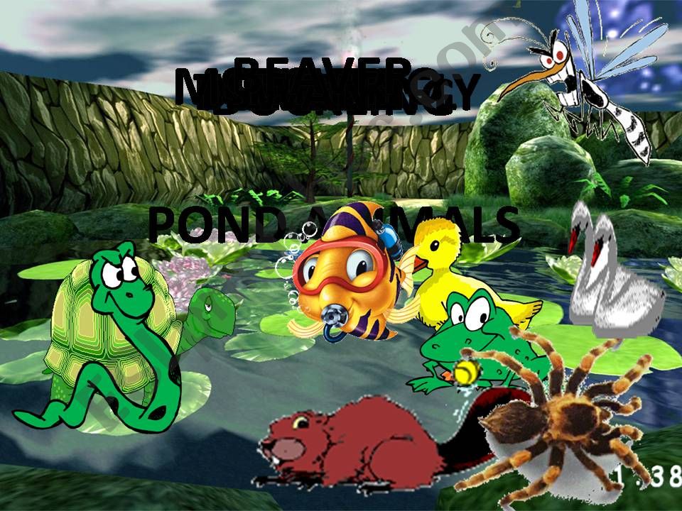 Pond Animals powerpoint