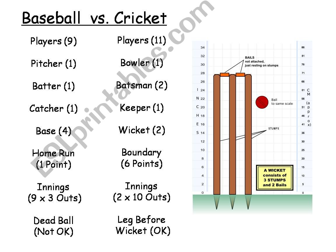 Baseball or Cricket powerpoint