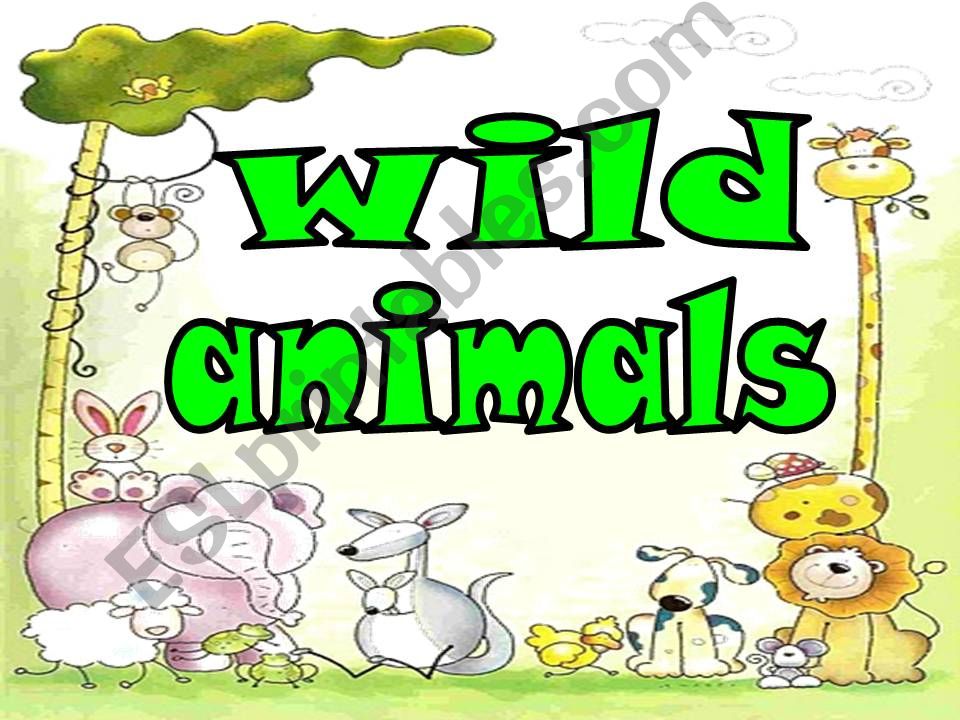 wild animals powerpoint