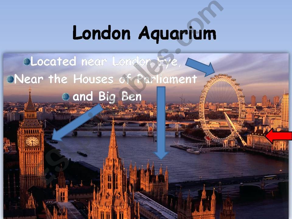 London Aquarium Part 1 powerpoint
