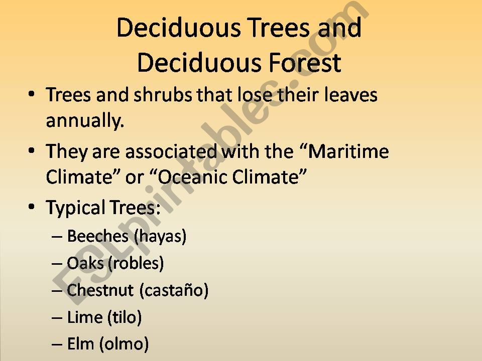 Types of trees powerpoint