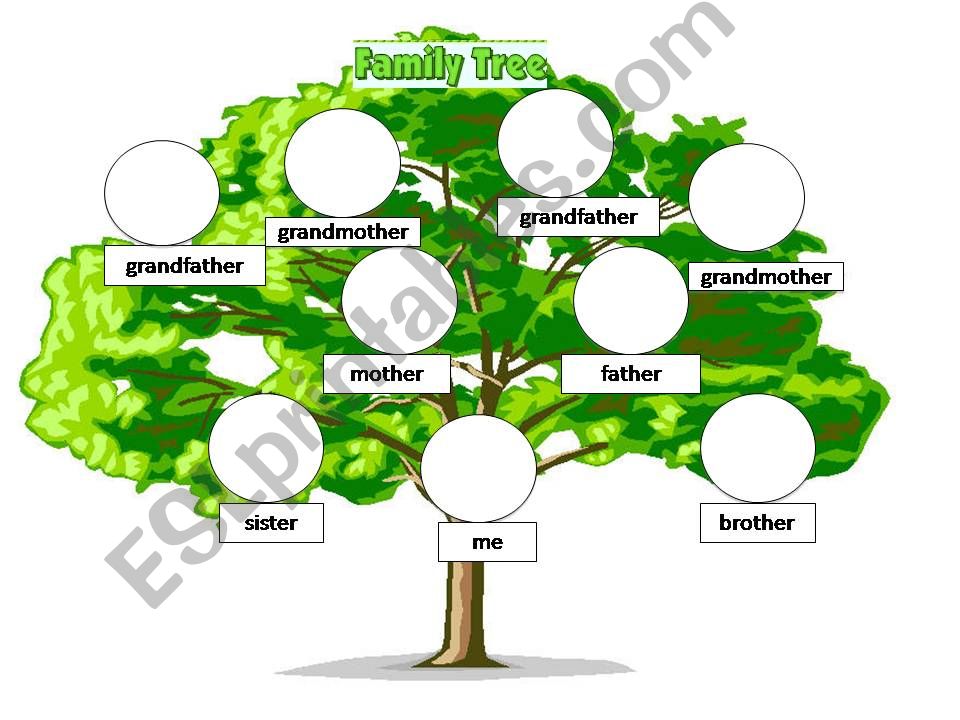 my family tree powerpoint