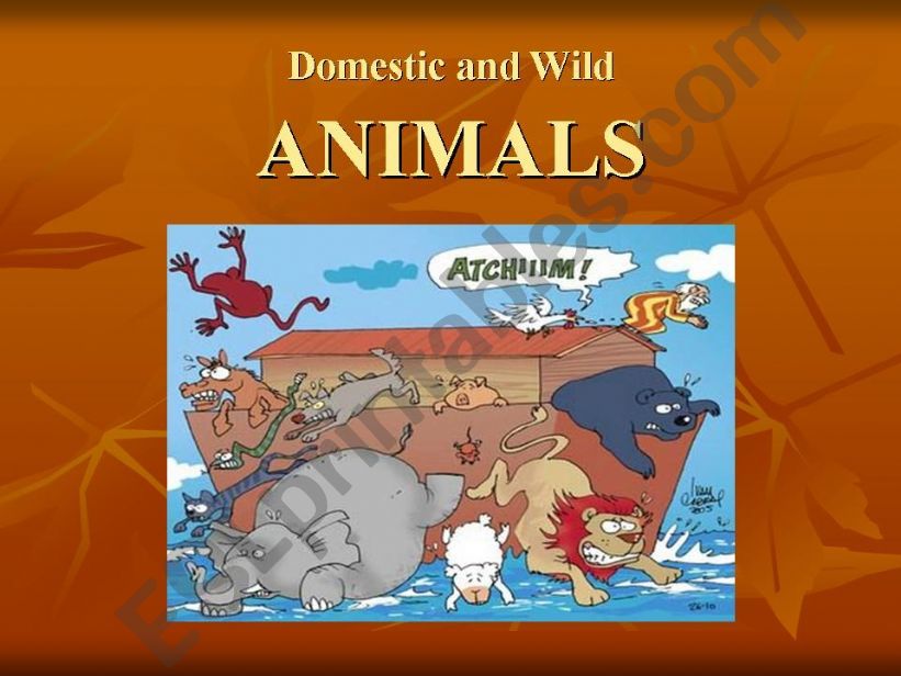animals powerpoint