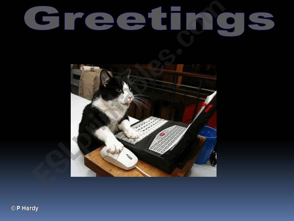 Greetings and Phrases powerpoint