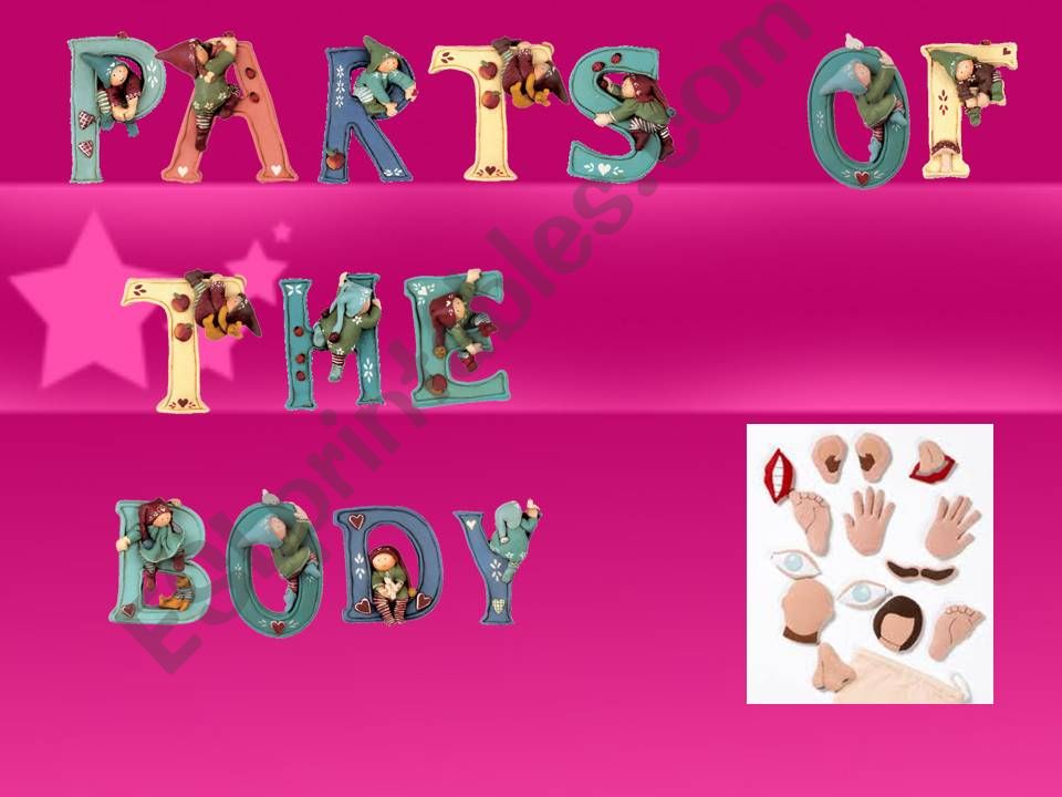 Parts of the body powerpoint