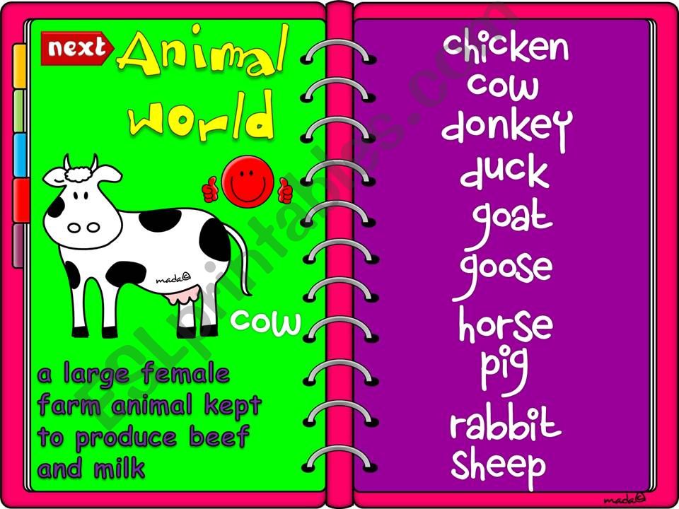 Animal world - domestic animals (2/2)