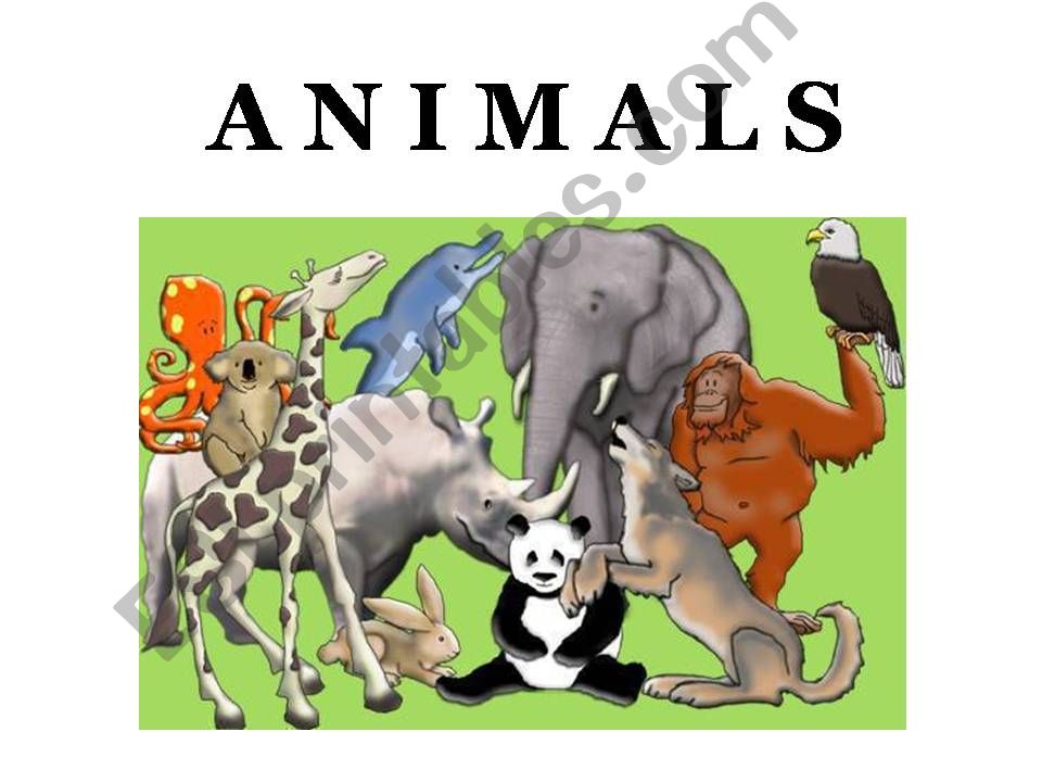 Animals_Comparative-Superlative_1