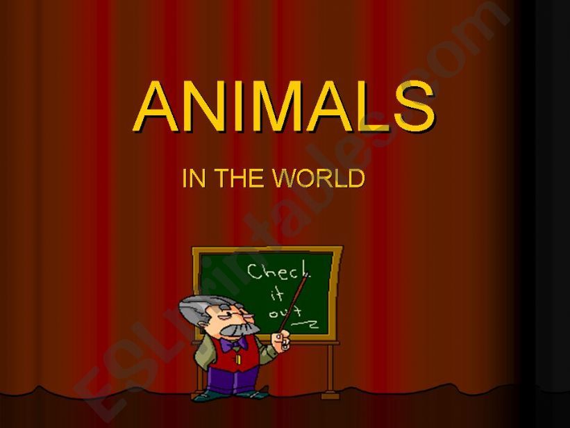 Animals in the world powerpoint