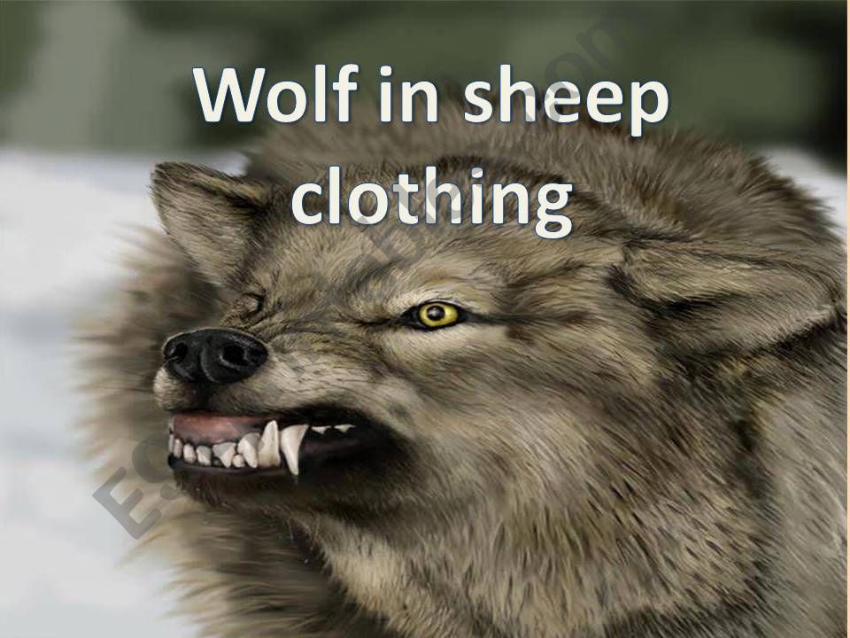 The wolf in sheep clothing powerpoint