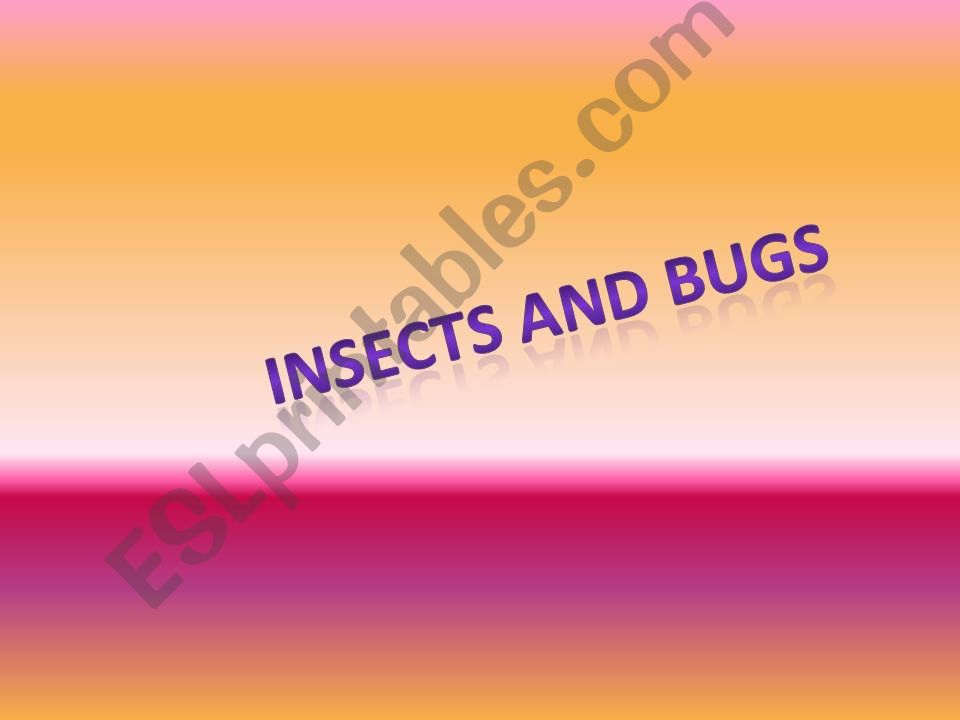 insect and bugs flashcards powerpoint