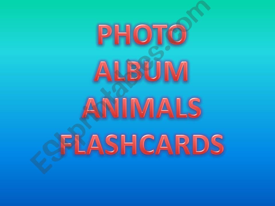 Photo Album Animals Flashcards