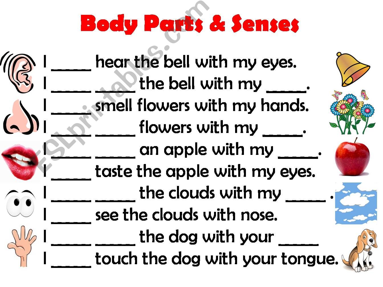 The Senses Fill the Blanks Game