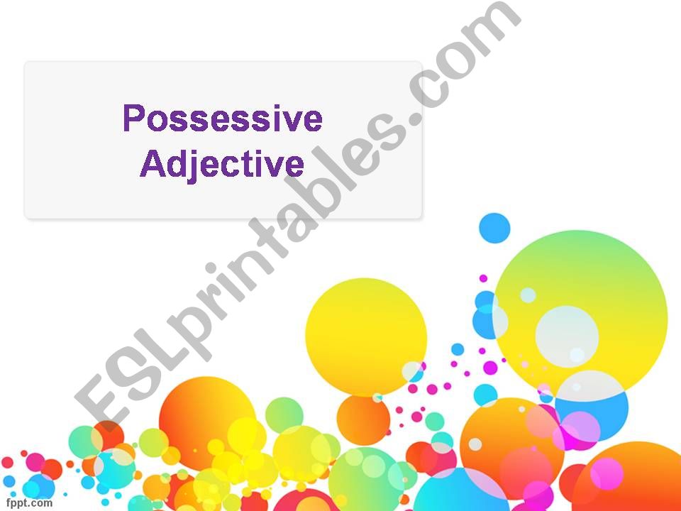 Possessive Adjectives powerpoint