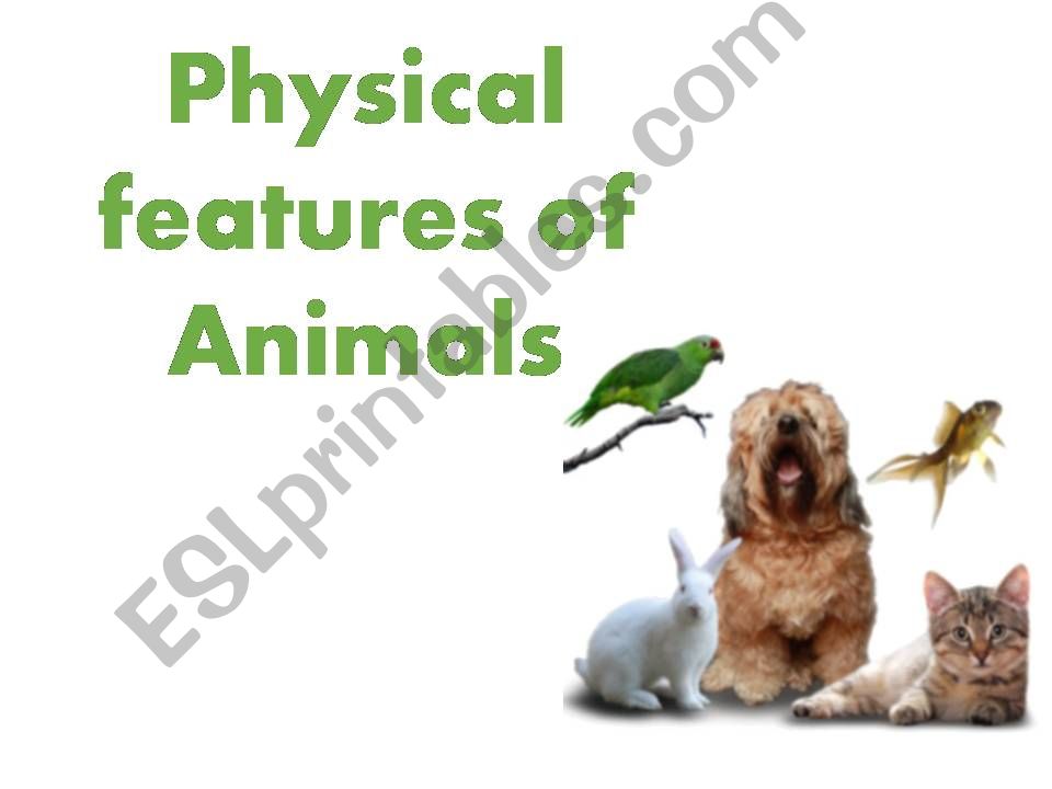 ESL - English PowerPoints: Animal physical features ESL - English PowerPoints: Animal physical features
