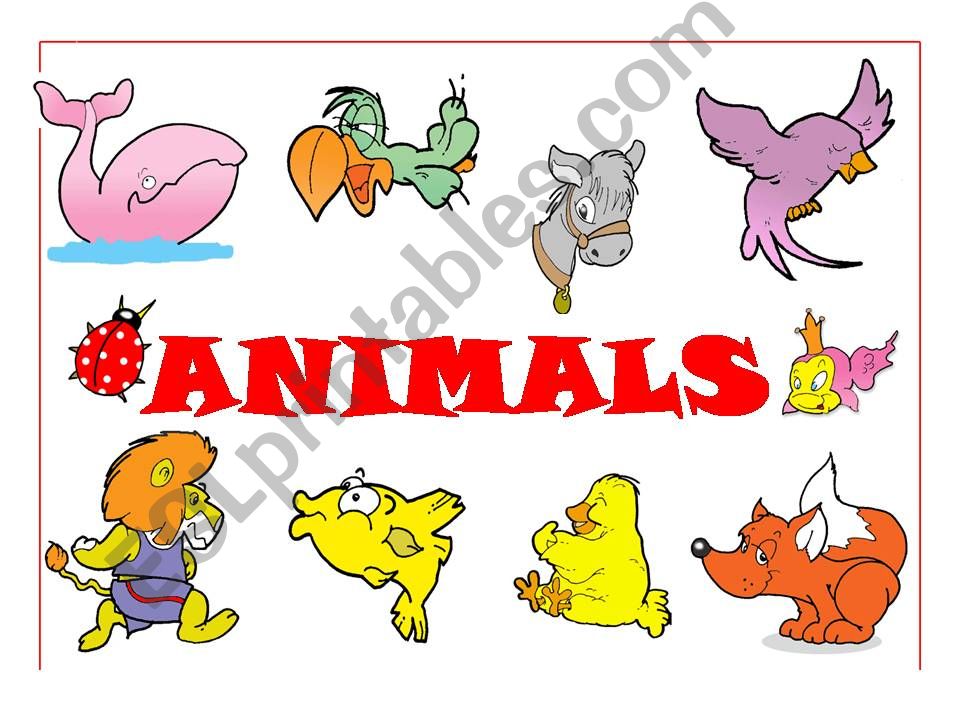 animals powerpoint