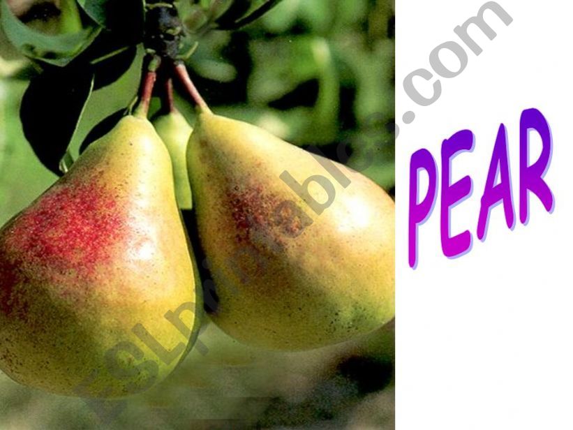fruts powerpoint