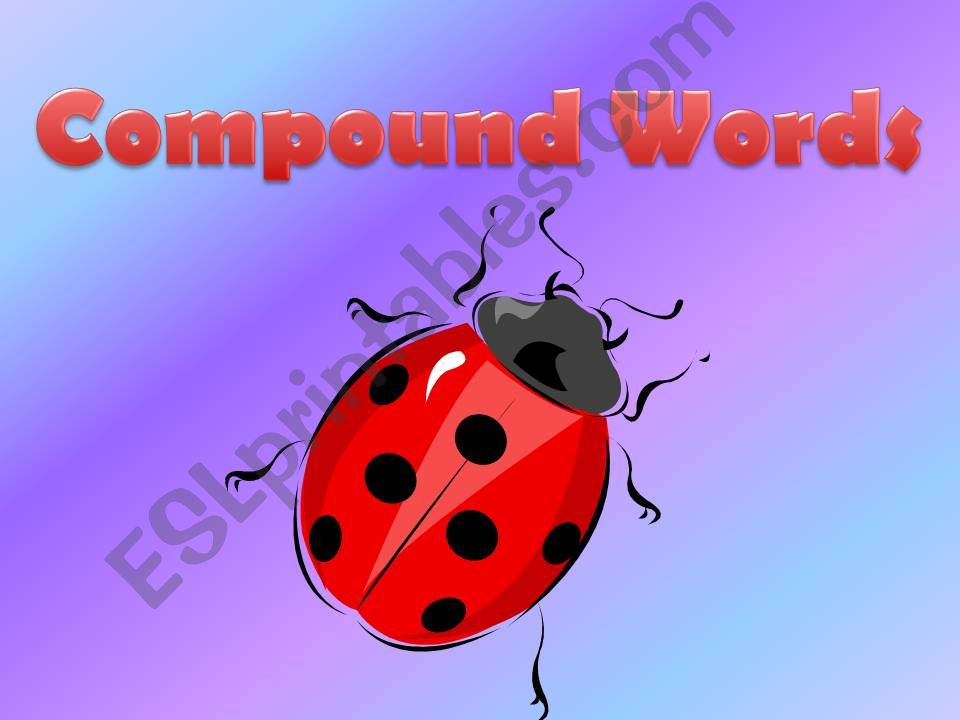 Compound words powerpoint