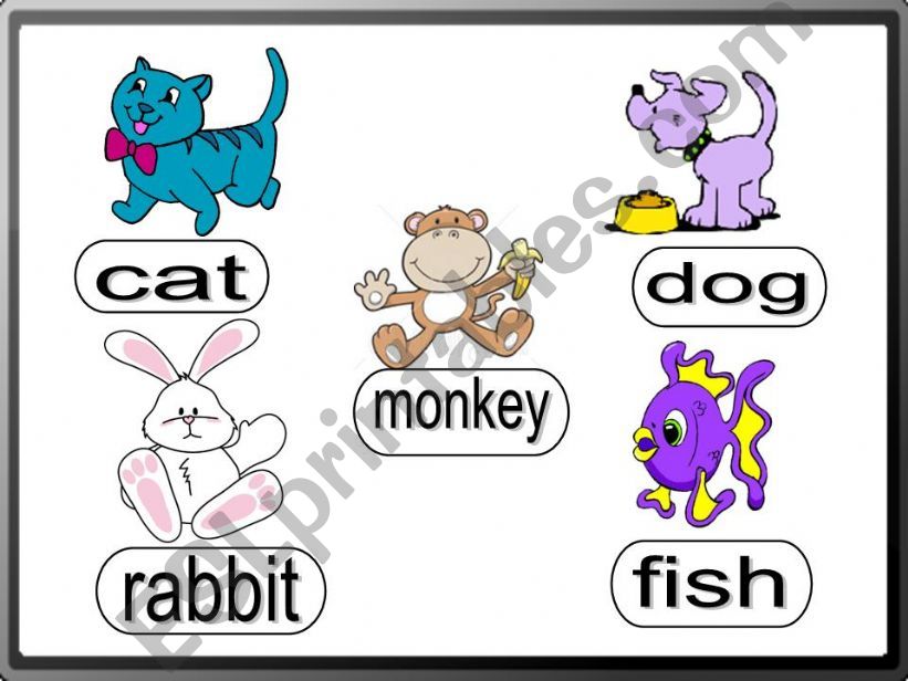 animals powerpoint