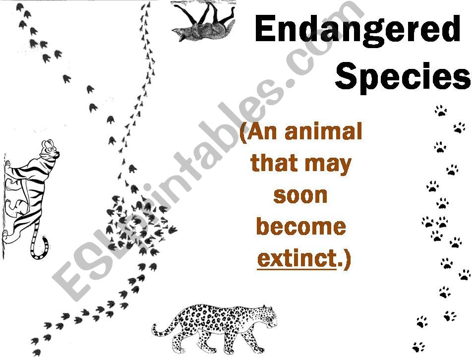 ESL - English PowerPoints: Endangered Animals