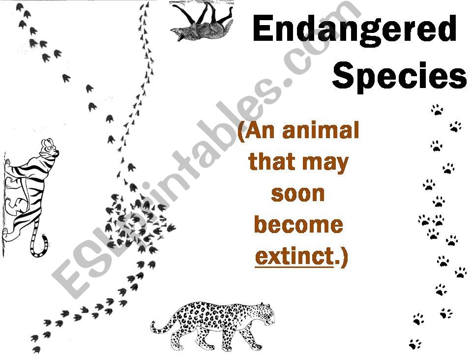 Endangered Animals powerpoint