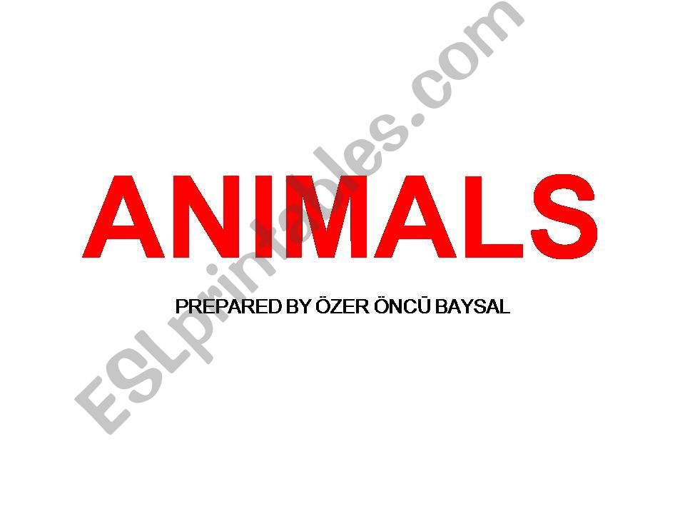 animals powerpoint