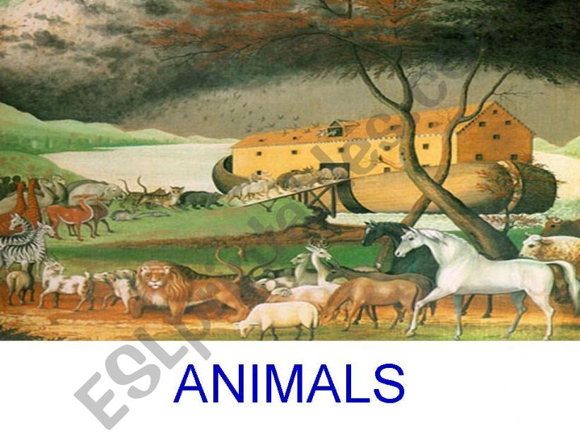 ANIMALS powerpoint