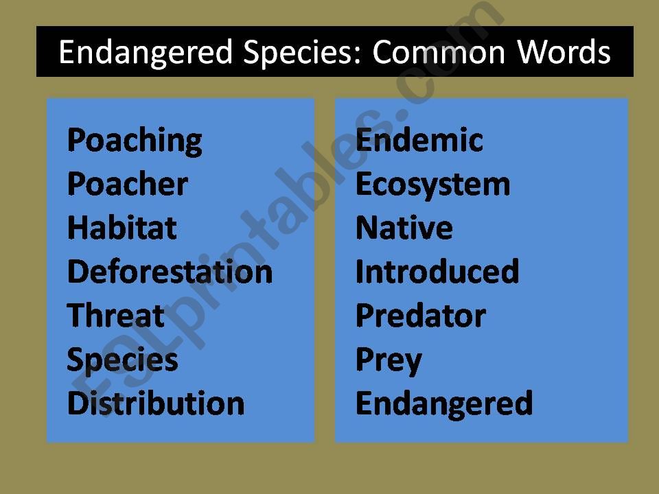 Endangered Species: Common Words