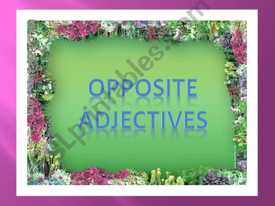 OPPOSITE ADJECTIVES powerpoint