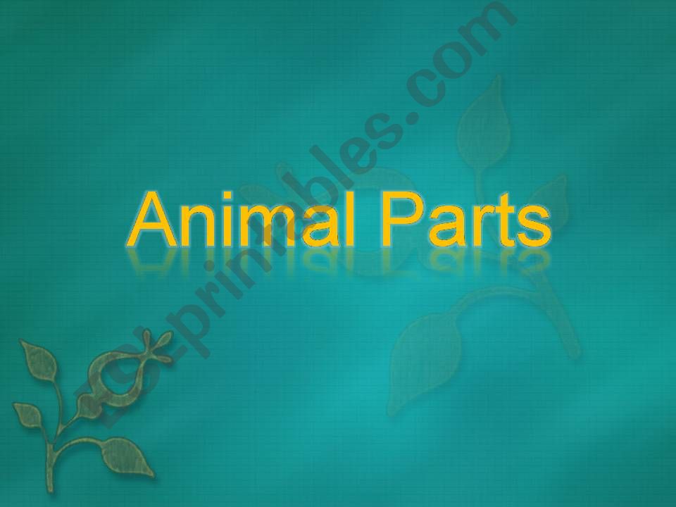 Animal Parts powerpoint