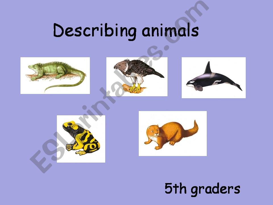 ESL - English PowerPoints: Describing animals