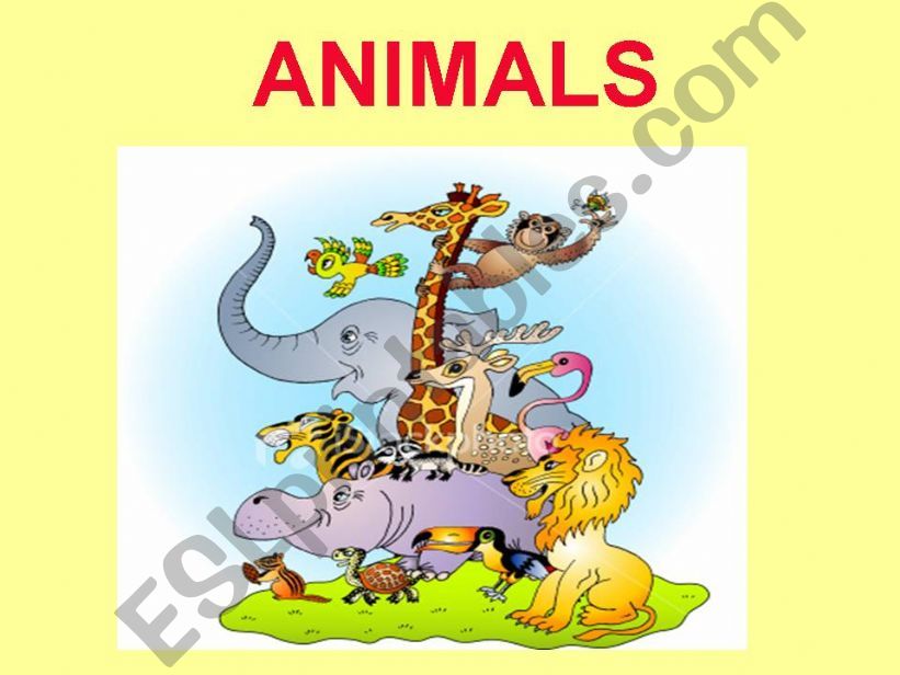 presentation-ANIMALS powerpoint