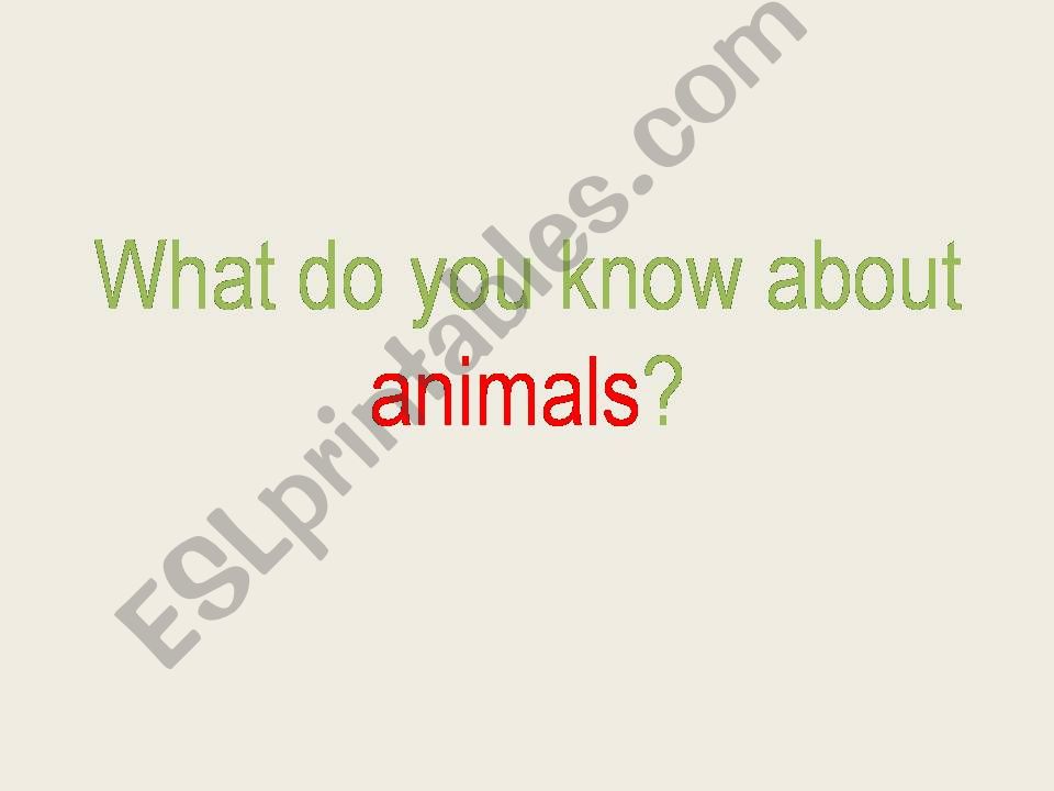 Animals powerpoint