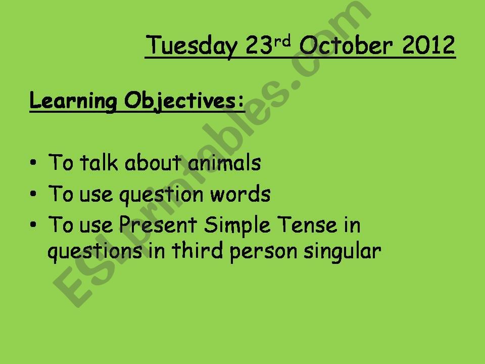 Does Questions powerpoint