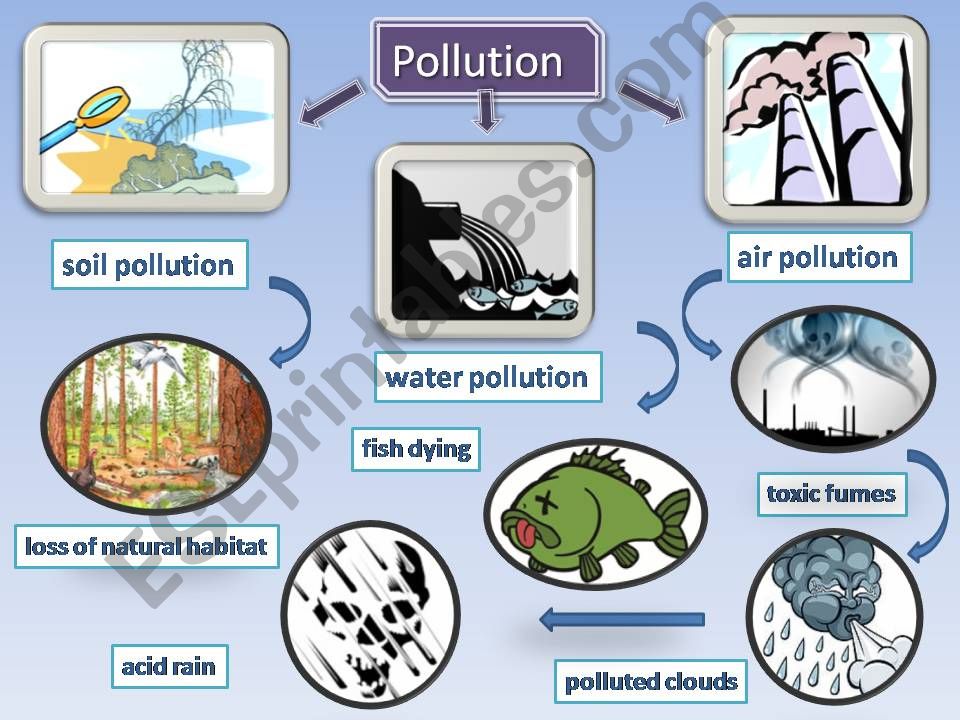 Pollution powerpoint