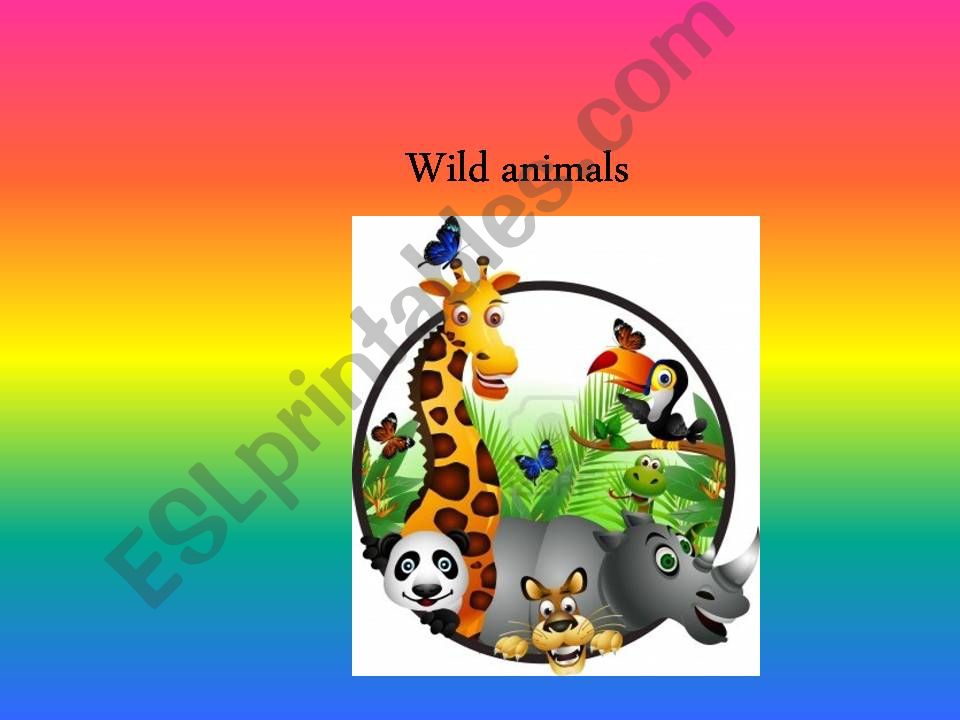 Wild animals ( part 1) powerpoint