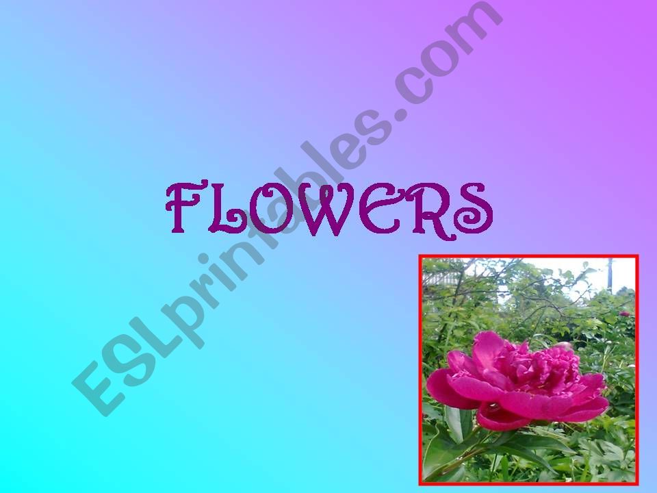 Flowers world powerpoint