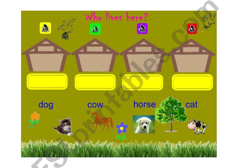 Animals powerpoint