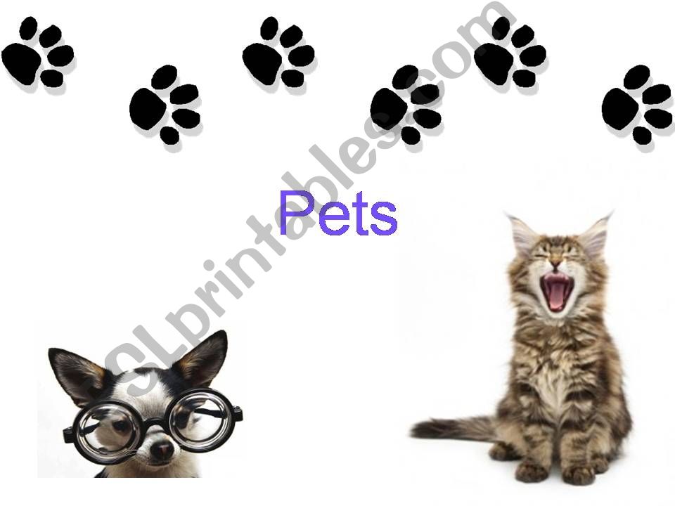 Pets powerpoint