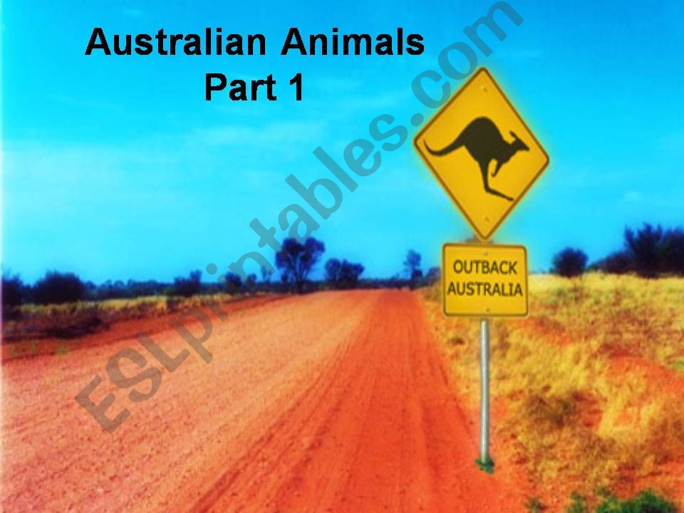 Australia: Australian Animals (Part 1)
