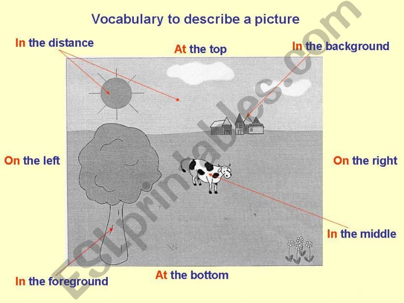 Vocabulary to describe a picture