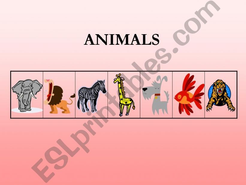 Animals memory game powerpoint