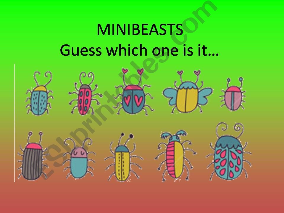 Minibeasts quiz powerpoint