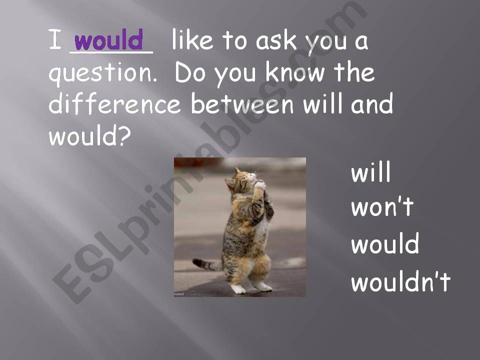 Will or Would Activity powerpoint